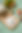 DSC_2172.jpg