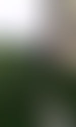 Día 1 Proyecto Alfajol en Oasis de Cua