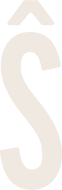 1057 TYSEIDR LOGO IDENT Cream (1).png