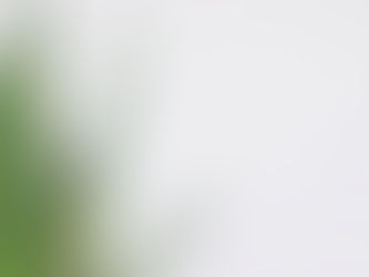 ¿Qué es el gel de Aloe Vera?