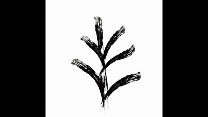 Dakota Ross Organic Logo animated