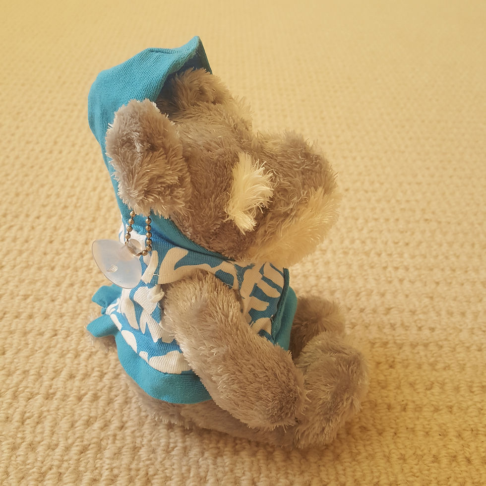 Thumbnail: Schnauzer Small