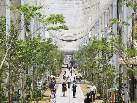 福山市本通・船町商店街アーケード緑化工事