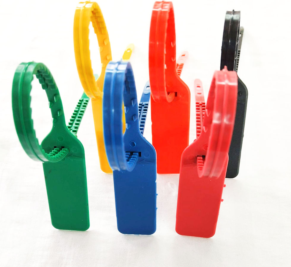 WhatsApp Image 2024-10-25 at 13.03_edited