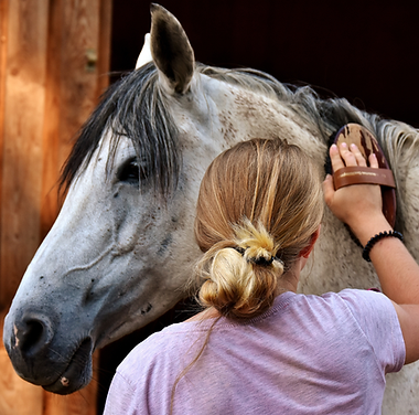 Beige White Simple Business Seminar Event Instagram Post (Video).png
