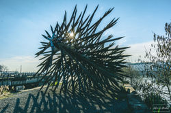 2019-02-23 Nantes avec aurore-5