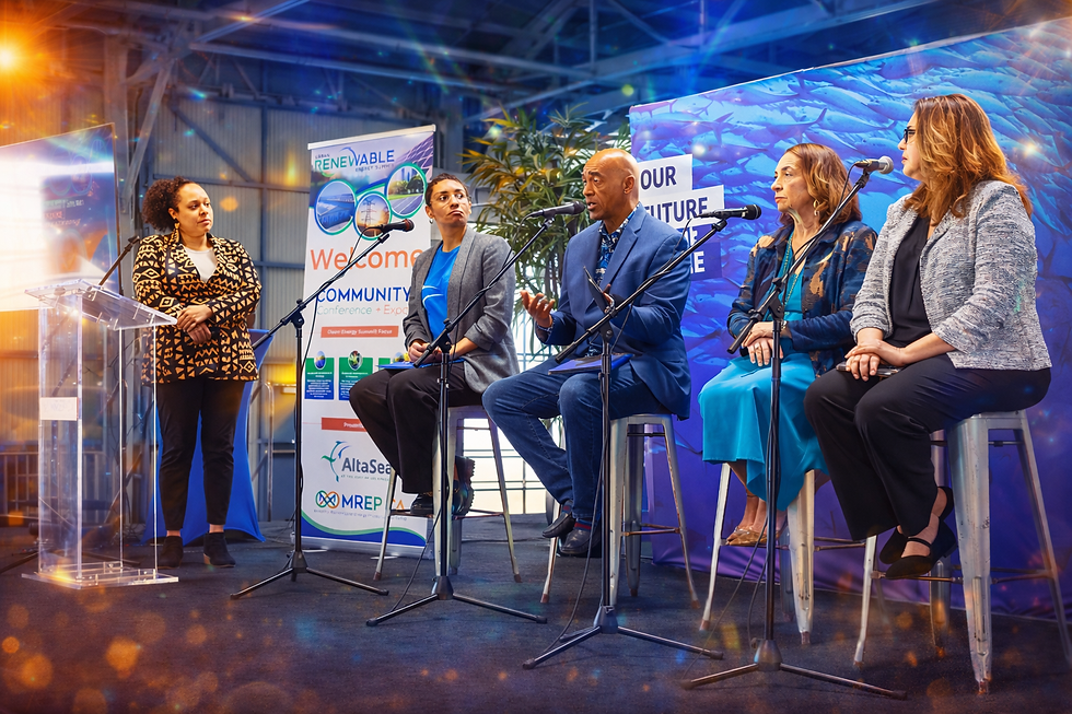 Urban renewable energy panel discussion.png