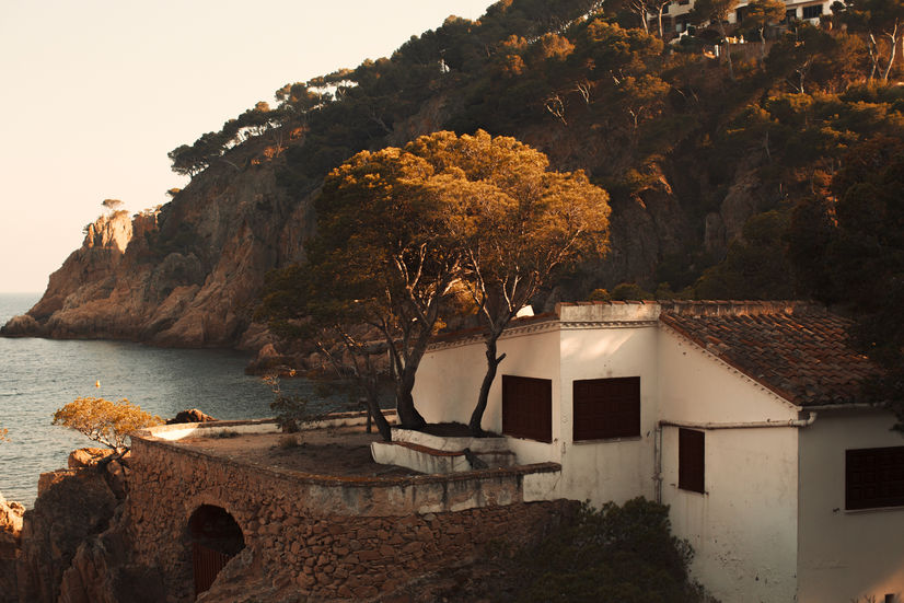 Allison-LoBalbo_8950-2