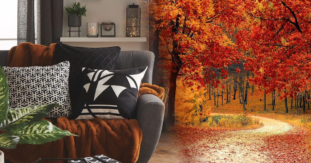 A stylish lounge sofa with scatter cushions and an autumnal throw, fading into a peaceful avenue pathway lined with golden autumn coloured trees.