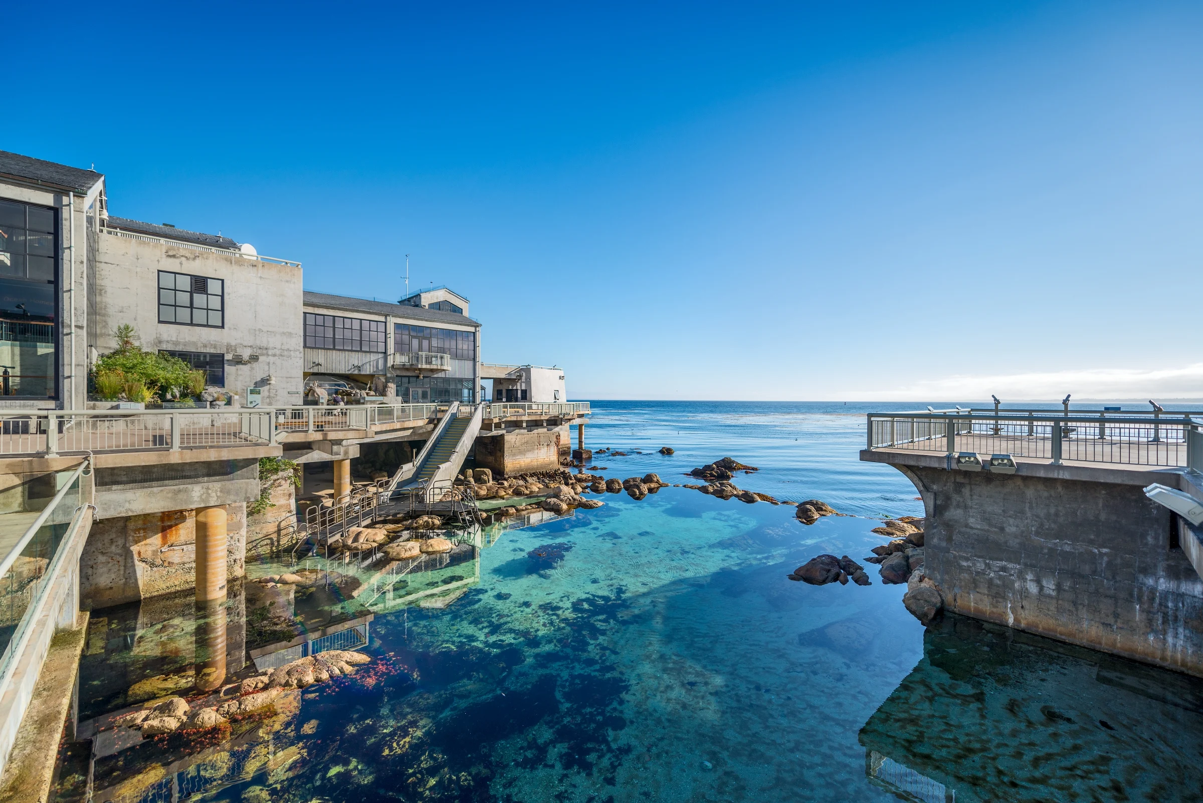 back-deck-tidepool-tr16-931-2.webp