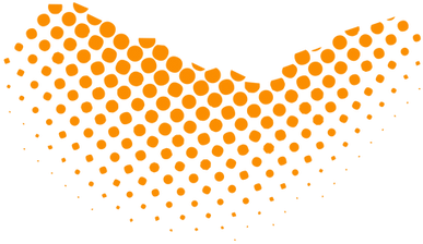 Elément de décor dans le respect de la charte graphique du site
