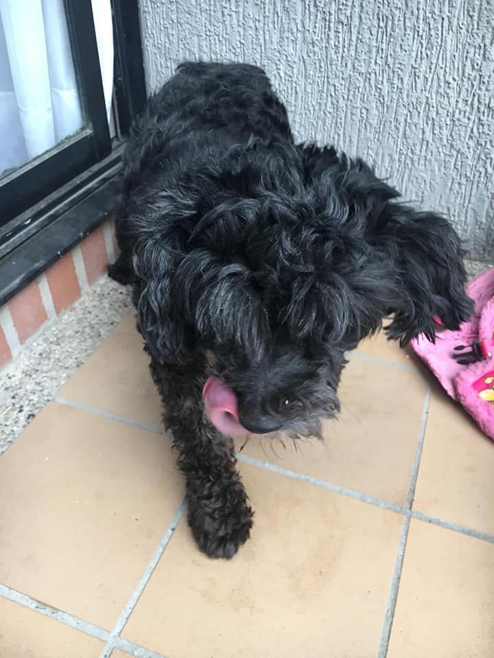 56456167_2088809254569479_14185488594491