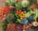 Panier bio varié 13kg