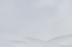 Winter - Sweet view - I