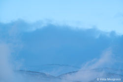 Winter - Sweet view - XVIII