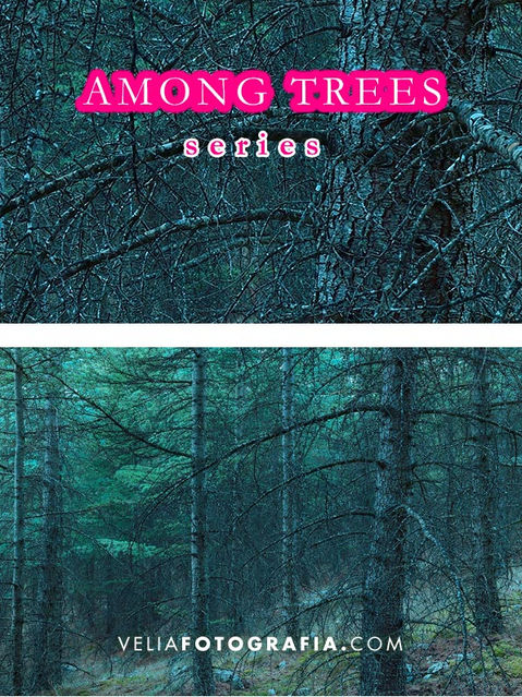 Among trees - IX.jpg
