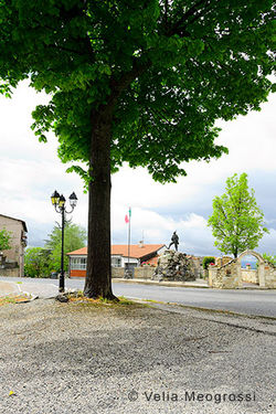 What a wonderful world! (series) - Sprin