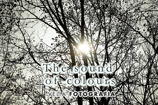 The_sound_of_colours_Autumn_03.jpg