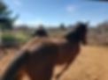 20190316_150057.jpg