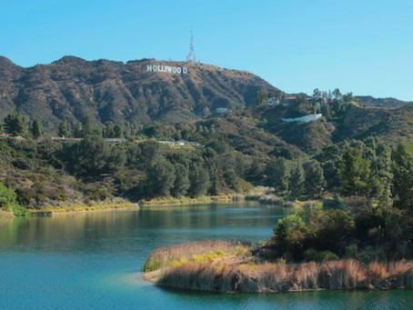 2|3: Hollywood Reservoir to Hollywood Sign w/ Michael Lens