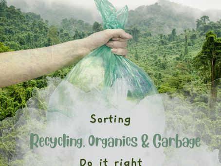 Sorting Garbage, Recycling & Organic Waste