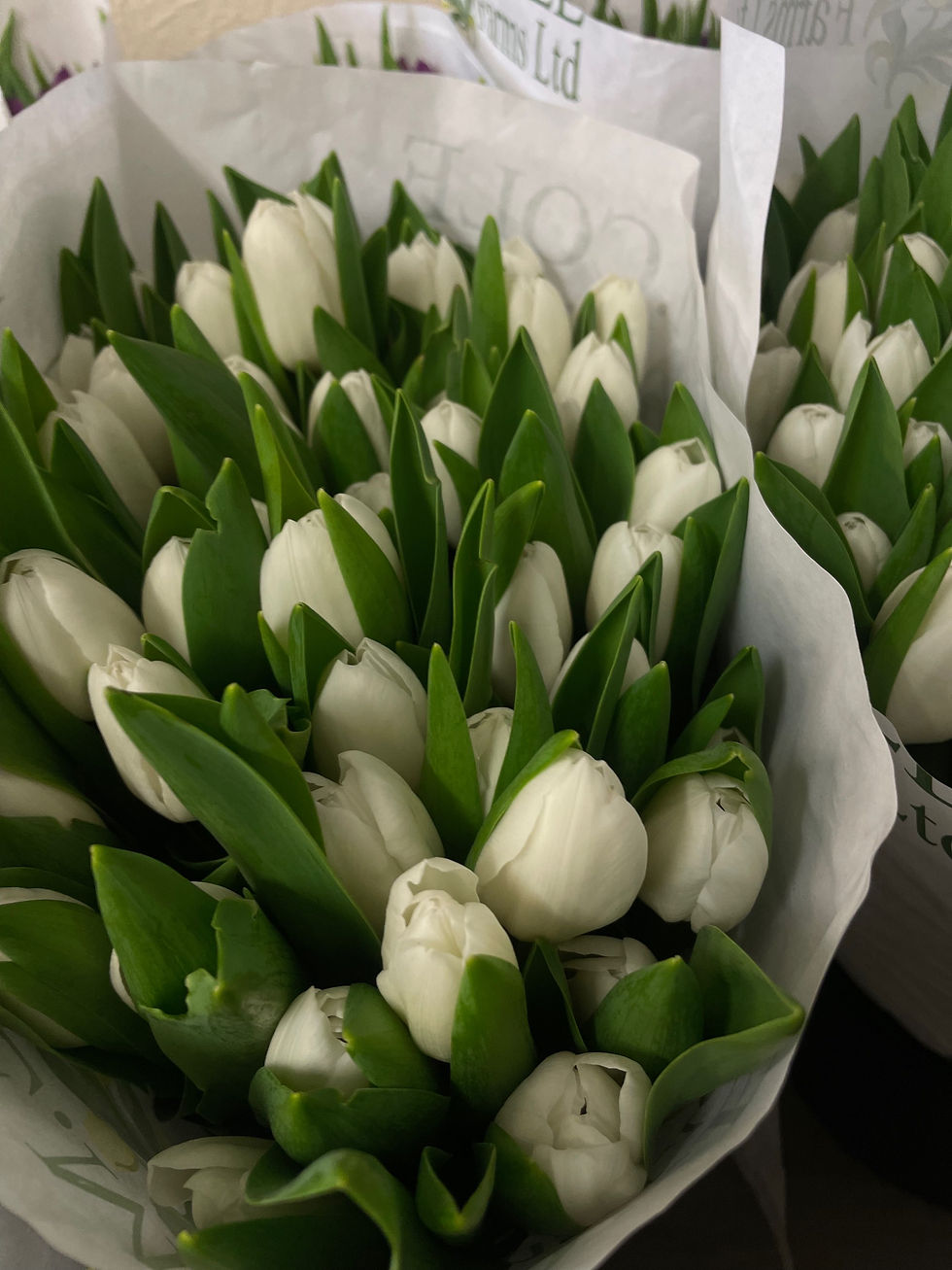 Thumbnail: 'Emily' Tulip Bouquet