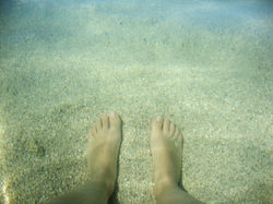 Ilha de Boipeba-BA, jul2016