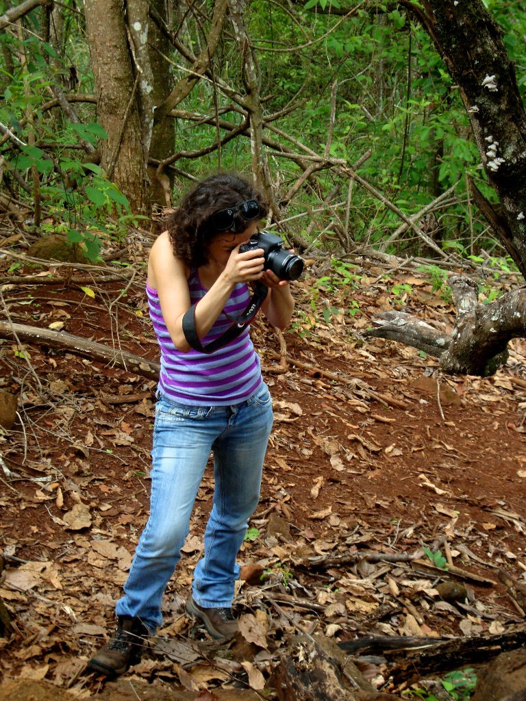parque estadual do pau furado