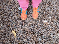 Inhotim/Brumadinho-MG, ago2017