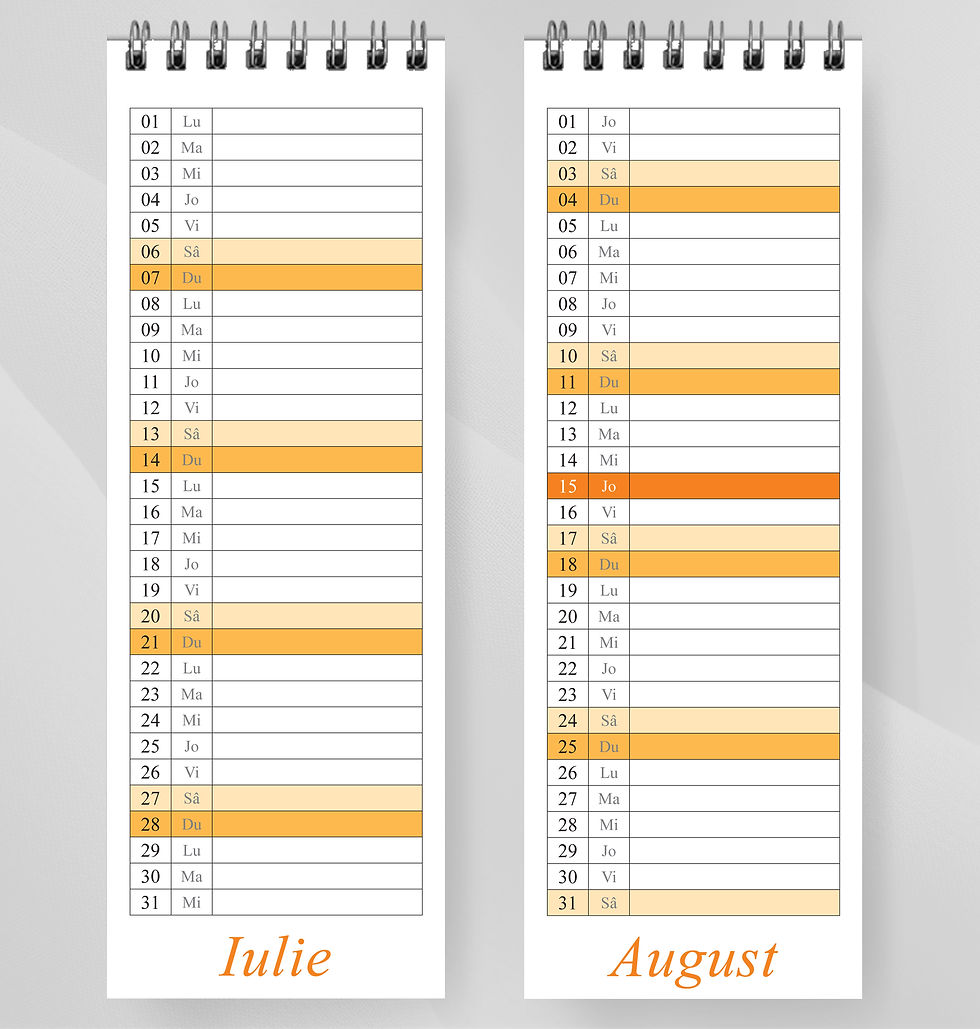 Miniatură: Mini planner Orange