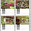 Miniatură: Calendar - Garden