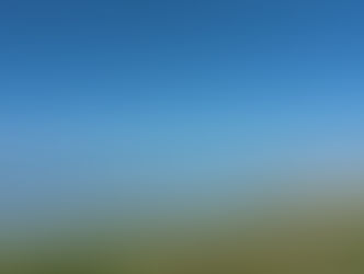 Dag 11