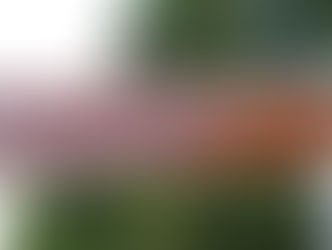 Dag 35