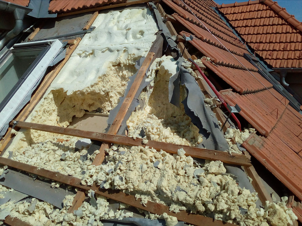 Kunou rozcupovaný a zničený izolant ve střeše