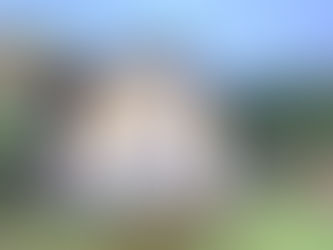 Starší chata a chalupa v přírodě – vizuální kontrola stavu fasády, střechy a oken