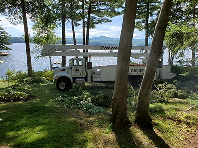 bucket truck in lakes region new hampshire Thomson Tree Service