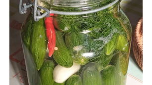 טרנד מתעצם - החמוצים של סבתא