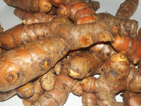 הכורכום והמפרקים