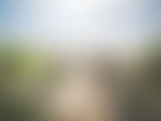 REAL ESTATE: VACATION RENTAL BY ACCIDENT