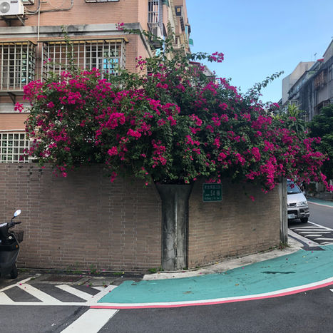 一秒教你把女友變成模特兒！
