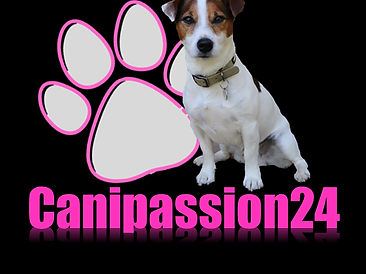 277563897_394740135989753_6742209847209998697_n (1).png