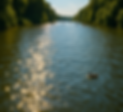 kayak.png