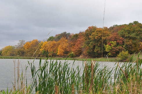DSC_0194.JPG