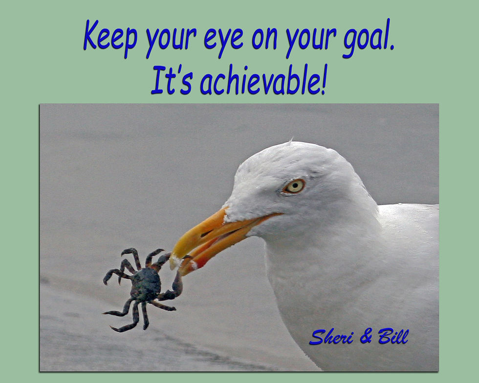 Keep your eye on the goal! Sheri & Bill (original photography by Sheri & Bill)