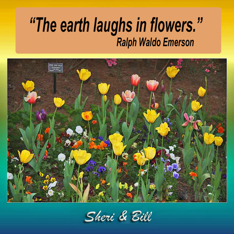 Motivational quote with Original photography by Sheri & Bill