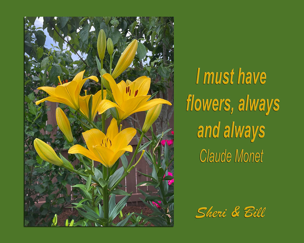 Motivational quote with Original photography by Sheri & Bill