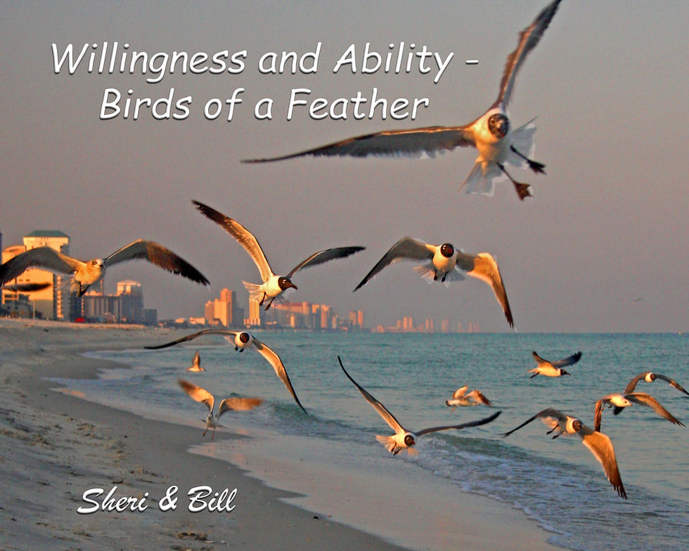 Flock of Seagulls cruising the shoreline with Willingness and Ability - Birds of a Feather words on image. Sheri & Bill
