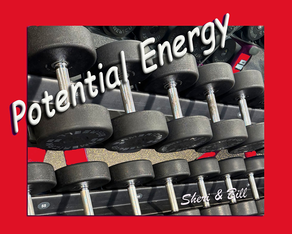 Potential Energy - Sheri & Bill