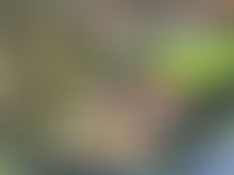 image of water lily pads on surface of still pond with just a few unopened pink blooms on the surface. text on image says fixin' to bloom. original photography by Sheri & Bill