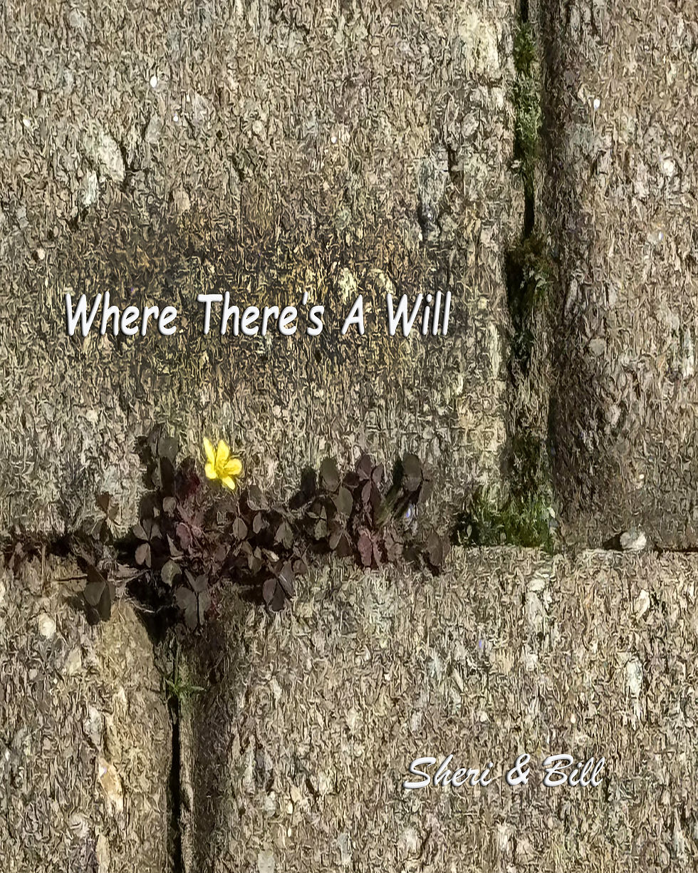 Where There's A Will...